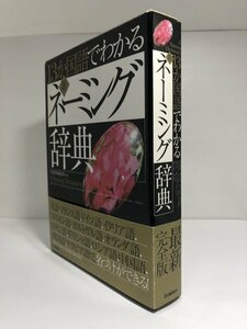 13か国語でわかる 新・ネーミング辞典 英・仏・独・伊・西・葡・蘭・羅ほか【即決・送料込】