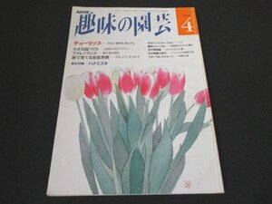 本 No1 01163 NHK 趣味の園芸 平成4年4月号 チューリップ 色彩と量感を演出する 鉢で育てる家庭果樹 カキ、ビワ、キイチゴ 花の惑星大紀行