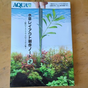 AQUALIFE　水草レイアウト製作ノート2