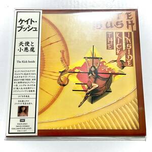 未開封　紙ジャケットCD　KATE BUSH　天使と小悪魔　限定盤　TOCP-67815　　　T017