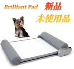 Brilliant Pad(新品、未使用品)