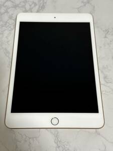 iPad mini 5世代 64GB Wi-Fiモデル ゴールド カメラ不可 sku09
