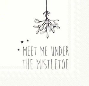 【即決】ペーパーナプキンバラ売り1枚から ランチサイズ 【IHR】MEET ME UNDER THE MISTLETOE ホワイト×ブラック