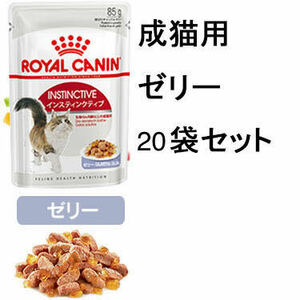 【訳あり】送料無料　ロイヤルカナン 成猫用ウェットフード20袋 インスティンクティブ ゼリー 総合栄養食 レトルト パウチ