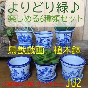 【よりどり緑♪】鳥獣戯画　植木鉢　6種類　6柄　穴有り 皿付　JU2　パターン2