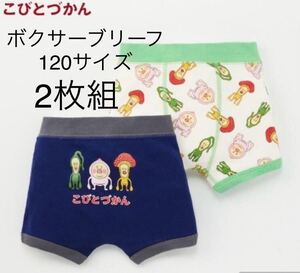 新品即決送料無料♪こびとづかんボクサーブリーフ　120サイズ　2枚組　綿100％ カクレモモジリ　クサマダラオオコビト　ベニキノコビトレア