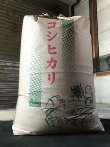  超 うま〜い 新米 新潟産 コシヒカリ24kg ☆ 令和 6年産 