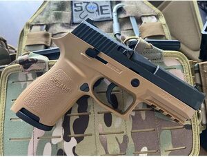 SIG P250 Model Pistol 完全構造化された科学教育モデル 非発射型無動力 誕生日プレゼント [並行輸入品]