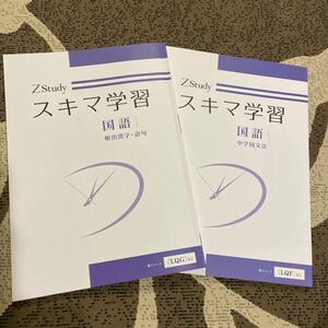 ☆Z会 スキマ学習　国語　中学　文法　頻出漢字語句☆