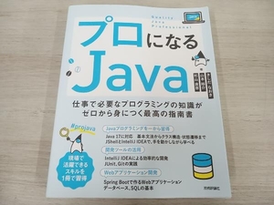 【初版】 プロになるJava きしだなおき