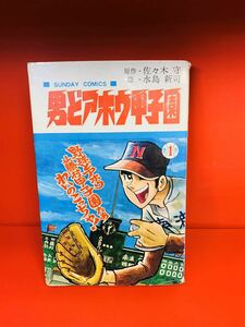 【初版】男どアホウ甲子園　1巻　水島新司　秋田書店　同梱歓迎