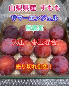 山梨県産 すもも サマーエンジェル 無農薬