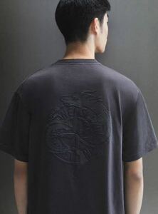 Stone Island 2RCCB Tシャツ ショートスリーブ美品