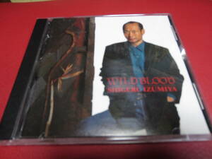 泉谷しげる / WILD BLOOD