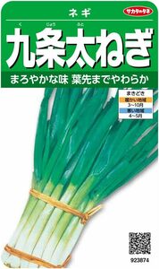 サカタのタネ 実咲野菜3874 九条太ねぎ ネギ 00923874