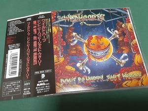 WILDHEARTS,THE　ザ・ワイルドハーツ◆『ドント・ビー・ハッピー・ジャスト・ウォーリー』日本盤CDユーズド品