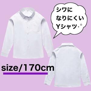 【高評価】スクールワイシャツ 長袖 170 男の子 男子 学生服 制服 冠婚葬祭 学校生活 しわになりにくい アイロン不要