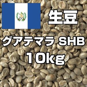 【コーヒー生豆】グアテマラ SHB 10kg ※送料無料！