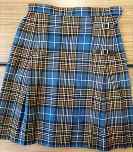 岡山県[岡山学芸館高校]女子制服　夏服スカート(W66.L51)　板あり単品　旧モデル　Predichant