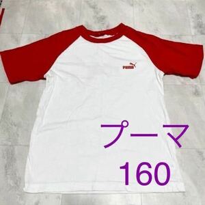 160CM プーマ PUMA 子供服 キッズ バックプリント 胸プリント袖切り替えラグラン半袖Tシャツ 