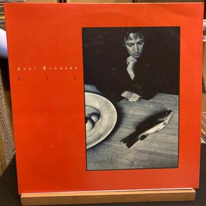 Andy Summers 【XYZ】MCF-3382 1987 Rock LP レコード