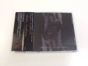 中古CD/レア盤 『Cruel of the darkness/Schmelz Cure』 No.408