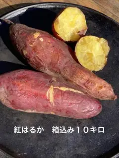 紅はるか　さつまいも　訳あり　１０キロ　家庭菜園　土付き