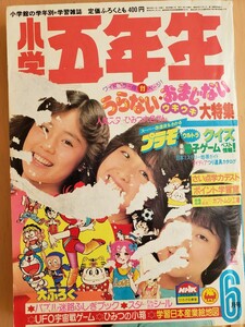 【貴重入手困難】小学5年生　1983年6月号　小泉今日子　松田聖子