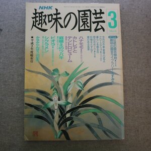 特3 72982★ / NHK 趣味の園芸 1991年3月号 ハナモモ「育て方のコツ」 カトレアとデンドロビューム「春さきの管理」 庭植えのツバキ