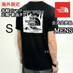 The North Face ノースフェイス Tシャツ 半袖 コットン スクエア アウトドア 黒 ブラック 海外限定 正規品 メンズ XS S