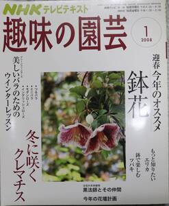 趣味の園芸 2008.1 鉢花 つるバラ ミニバラ モダンローズ イングリッシュローズ エリカ ツバキ 黒法師 中古美品