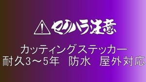 セクハラ注意　小サイズ　デコトラ　軽トラック　トラック　ダンプ　運送　貨物 フロント リア ボディ カッティングステッカー　フロント