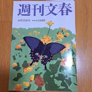 週刊文春2024年6月13号　福本莉子　など