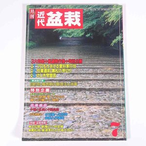 月刊 近代盆栽 No.153 1990/7 近代出版 雑誌 盆栽総合誌 園芸 ガーデニング 植物 特集・プロもたまげる技 黒松の芽切り さし木 ほか