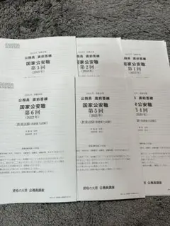 公務員 国家公安職 答練 未使用 6回分