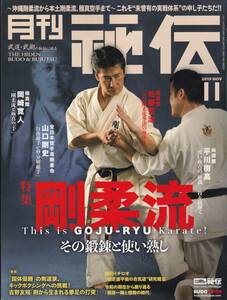 月刊秘伝2019年11月号 武道,武術,古伝剛柔流拳法,山口剛史,自由組手と分解形競技,植芝盛平,太極拳,小林流空手,今野敏,黒田鉄山,日野晃,他