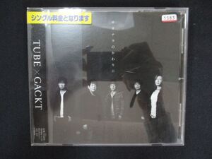 1367 レンタル版CDS サヨナラのかわりに/ＴＵＢＥ　×　ＧＡＣＫＴ 1583