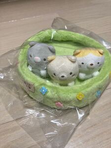 すみっコぐらし　ねこ3兄弟　マルチトレイ　こねこのころ　てのりぬいぐるみ