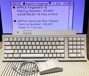 Apple Keyboard II [M0487]+Apple Desktop Bus Mouse[G5431] セット　動作確認品