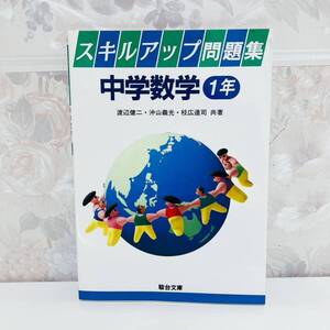 【絶版・超希少】 スキルアップ問題集 中学数学1年 渡辺健二 沖山義光 枝広達司 駿台文庫