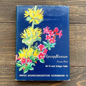 ドイツの古い植物図鑑(ALPENPFLANZEN 2 1951年)/アンティーク ヴィンテージ ヨーロッパ 植物画 花 高山植物 ボタニカルアート 雰囲気◎/