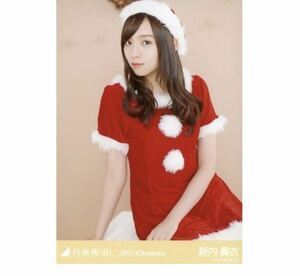 299 乃木坂46 生写真 公式グッズ 1枚　限定品　新内眞衣　クリスマス　座り　2017.Christmas