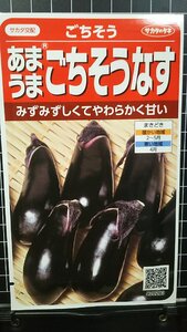 ３袋セット ごちそう なす あまうま 茄子 種 郵便は送料無料