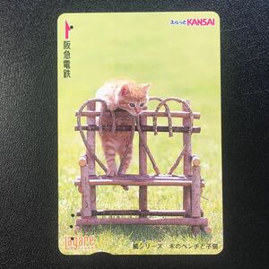 2005年10月25日発売柄ー猫シリーズ「木のベンチと子猫」ー阪急ラガールカード(使用済スルッとKANSAI)