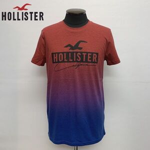 US正規 /XS★HOLLISTER ホリスター ロゴプリント 半袖Tシャツ/グラデーション 323-243-2941-628 サーフスタイル アメリカ購入 (9967)