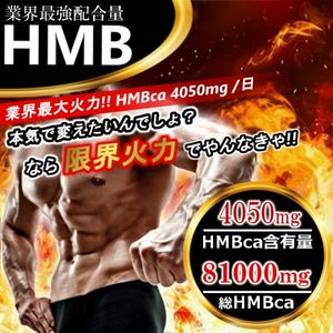 HMB決定版！！　1粒1250mg→1350mgにUPした業界トップHMB　60錠 【ビルドマッスル・メタルマッスル2袋弱分】