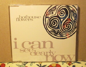HOTHOUSE FLOWERS-I Can See Clearly Now/