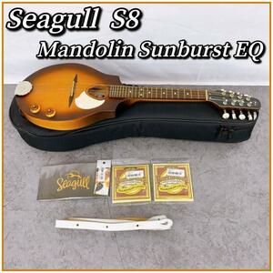 Seagull / S8 Mandolin Sunburst EQ マンドリン