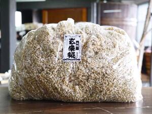 【おたまや】玄米麹 生麹（5kg）