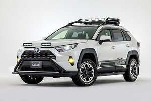 アヴァンツァーレ RAV4 MXAA54 AXAH54 サイドデカール AVANZARE